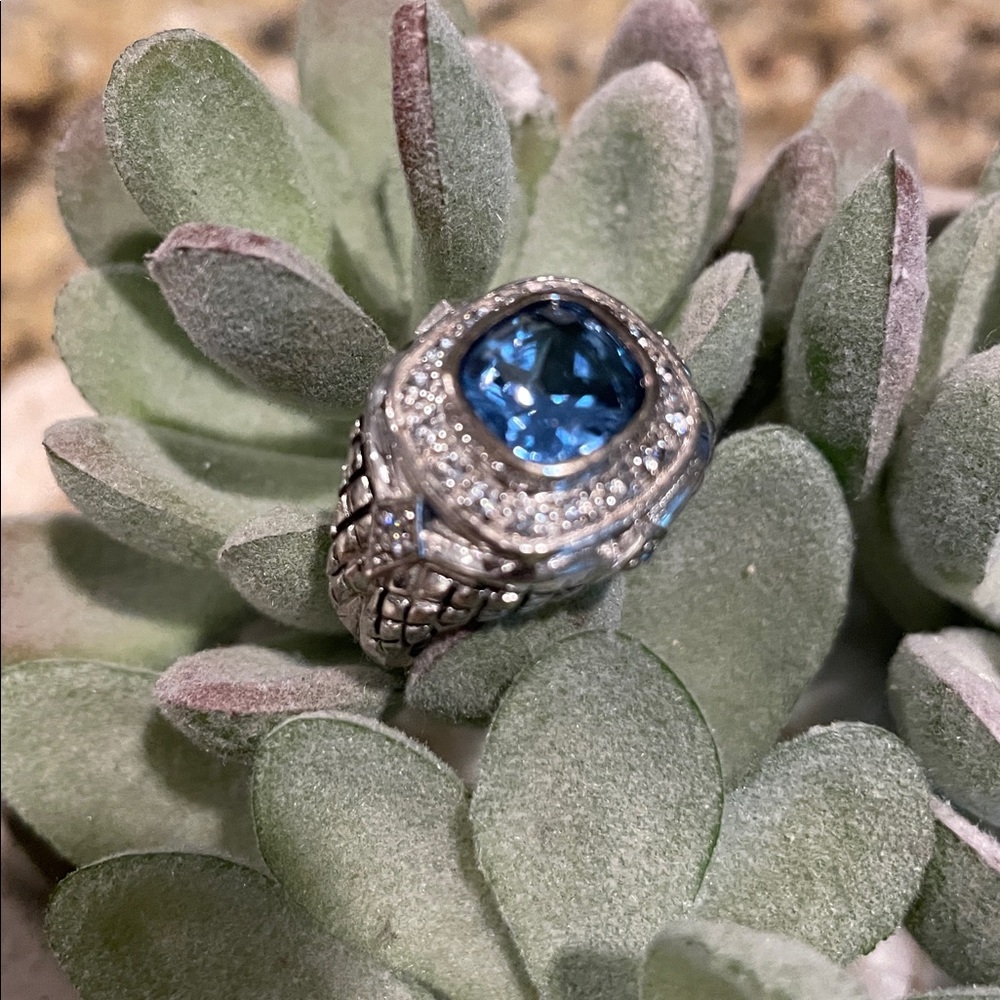 Stylish Silver and Blue Gemstone Ring
